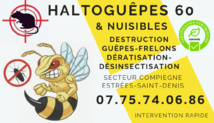 HALTOGUEPES 60