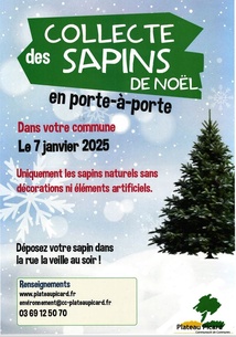 COLLECTE SAPINS 2025