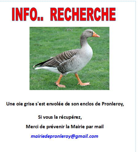 INFO.... Recherche !!!